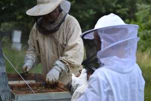 W Smolajnach chcą kształcić pszczelarzy