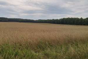 Czy w gminie Janowo powstaną fermy drobiu i wiatraki?