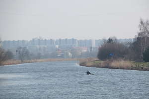 Odblokują rzekę Elbląg. Wybudują nowy most w Nowakowie