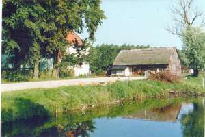 Historia Leszczyny, niewielkiej wsi ze stawem
