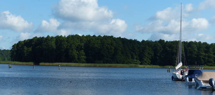 Zdjęcie jest ilustracją do artykułu — wyspa Wielka Żuława (jezioro Jeziorak), widok od strony południowej