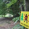 Uwaga! Zakaz wstępu do lasu przy Jeleniej Dolinie