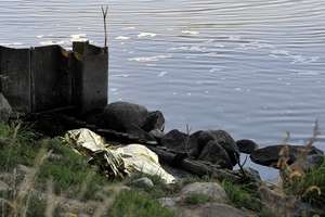 Wędkarz odkrył ciało mężczyzny w rzece Elbląg