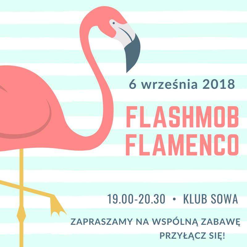 Flamenco w Olsztynie  - full image