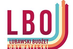 Mostek, kosze na psie odchody, defibrylatory AED i szachy miejskie — to propozycje do przyszłorocznego Lubawskiego Budżetu Obywatelskiego!