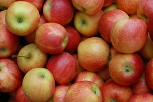 Po raz pierwszy w Lubawie Regionalne Święto Jabłka - zapraszamy! 
