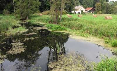 Rowerowa Obwodnica Olsztyna (23): Plaża Miejska - Gutkowo - Kajny - Brąswałd - CEiK