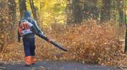 Czeka nas złota polska jesień. W nocy będzie nawet 10°C