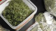 Ponad 800 gramów marihuany ukryte w sejfie i skrytkach