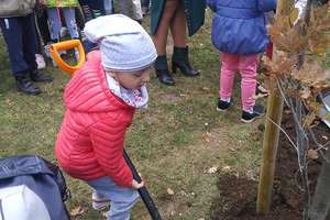 Perełki sadzą dęby w Parku Solidarności