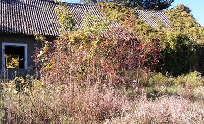 Rowerowa Obwodnica Olsztyna (24): Barczewo -Tumiany - Dobrag - Klebark Wielki - Olsztyn