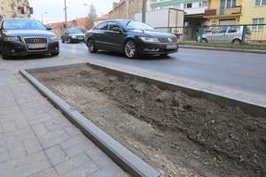 Mieszkańcy chcą, żeby ulica Limanowskiego została aleją