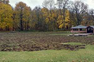 Dziki ryją w Bażantarni. Tak wygląda polana z dwiema wiatami [zdjęcia]