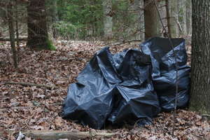 Śmieci w lesie przy drodze do Spytkowa