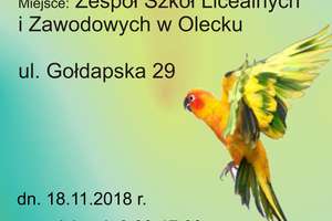 Wystawa ptaków egzotycznych w Olecku