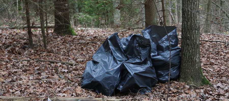 Śmieci w lesie przy drodze Giżycko - Spytkowo