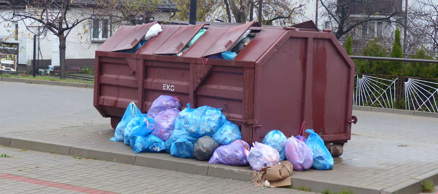 Tak w środę rano wyglądał śmietnik przy ul. Gdańskiej w Iławie
