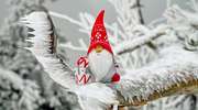 Szkoła w Tuszewie zaprasza na świąteczny kiermasz