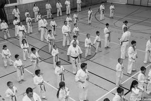 Egzamin na stopnie szkoleniowe kyu w karate kyokushin