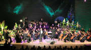 Koncert Marszałkowski: 50 lat - The Beatles symfonicznie w filharmonii