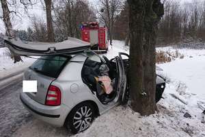 Młoda kobieta uderzyła swoim samochodem w drzewo. Pasażera zabrał do szpitala śmigłowiec [ZDJĘCIA]