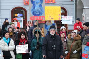 Olsztynianie protestowali przeciwko masowemu odstrzałowi dzików [GALERIA]