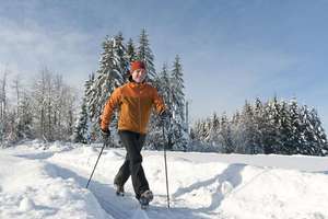 CEE zaprasza w styczniu na bezpłatne zajęcia nordic walking