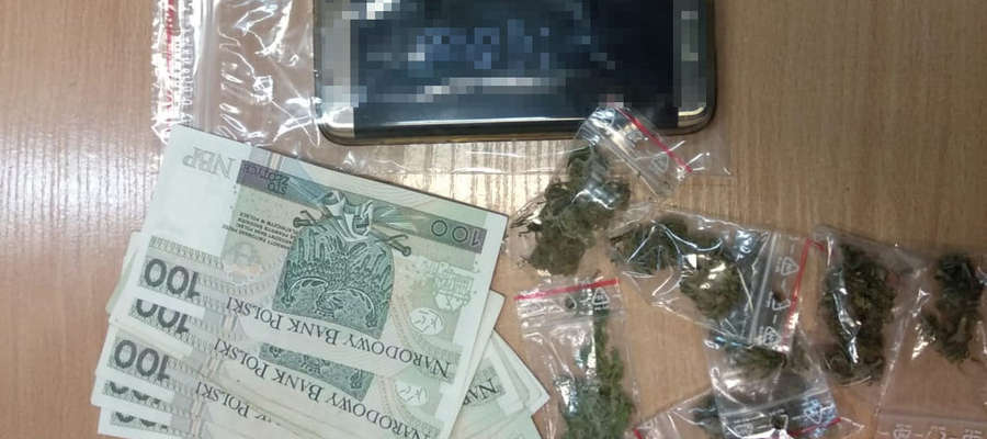 Policjanci w mieszkaniu 19-latka zabezpieczyli 300 gramów marihuany