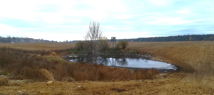 Oczko wodne na granicy powiatów nowomiejskiego i działdowskiego wypełnione gnojowicą