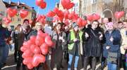 Przeciwnicy marszu równości zjadą się do Olsztyna?