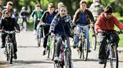 Kiedy rower, to rower? Sprawdzamy, co wolno rowerzystom na drogach