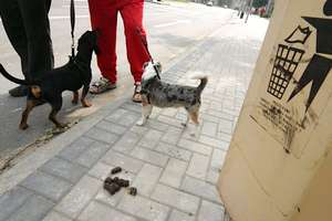 Psie zakazy były nielegalne, ale sprzątanie obowiązuje