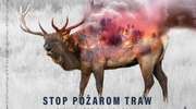 Strażacki tydzień. Aż 13 wyjazdów do wypalanych traw