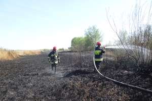 W tym roku strażacy 33 razy gasili pożary traw