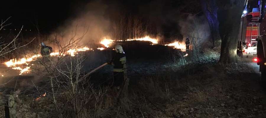 Strażacy z OSP Spytkowo 28 lutego 2019 r. gasili płonące trawy 