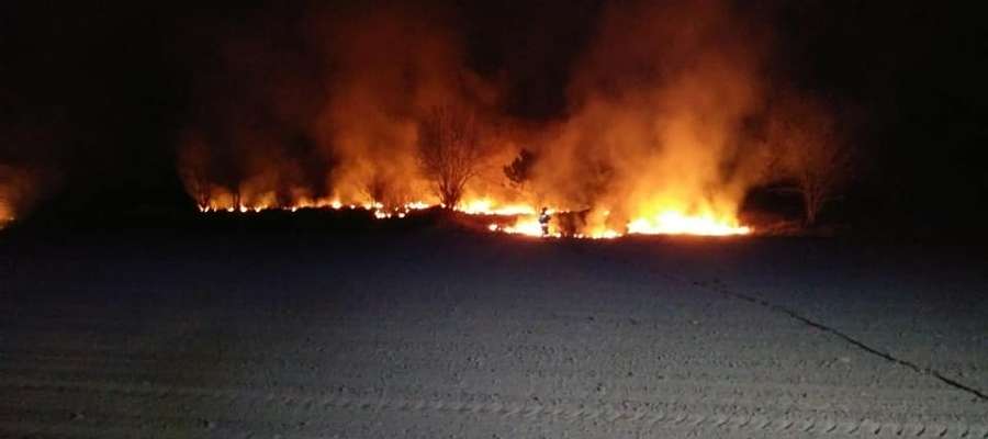 Pożar traw w okolicach Szwejkówka
