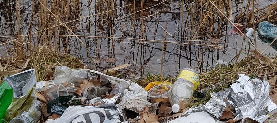 Śmieci na Jeziorem Kortowskim