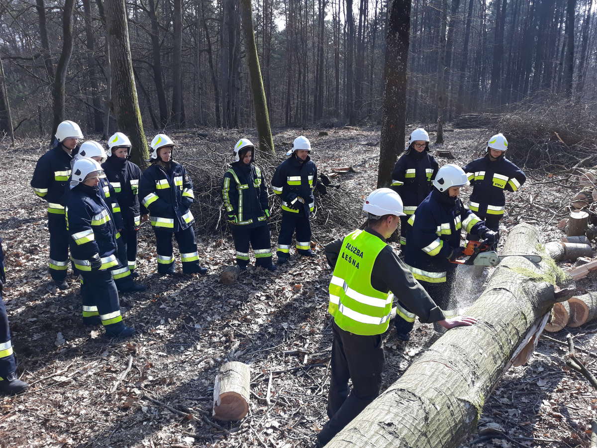 Po zakończeniu kursu wykonano pamiątkową fotografię