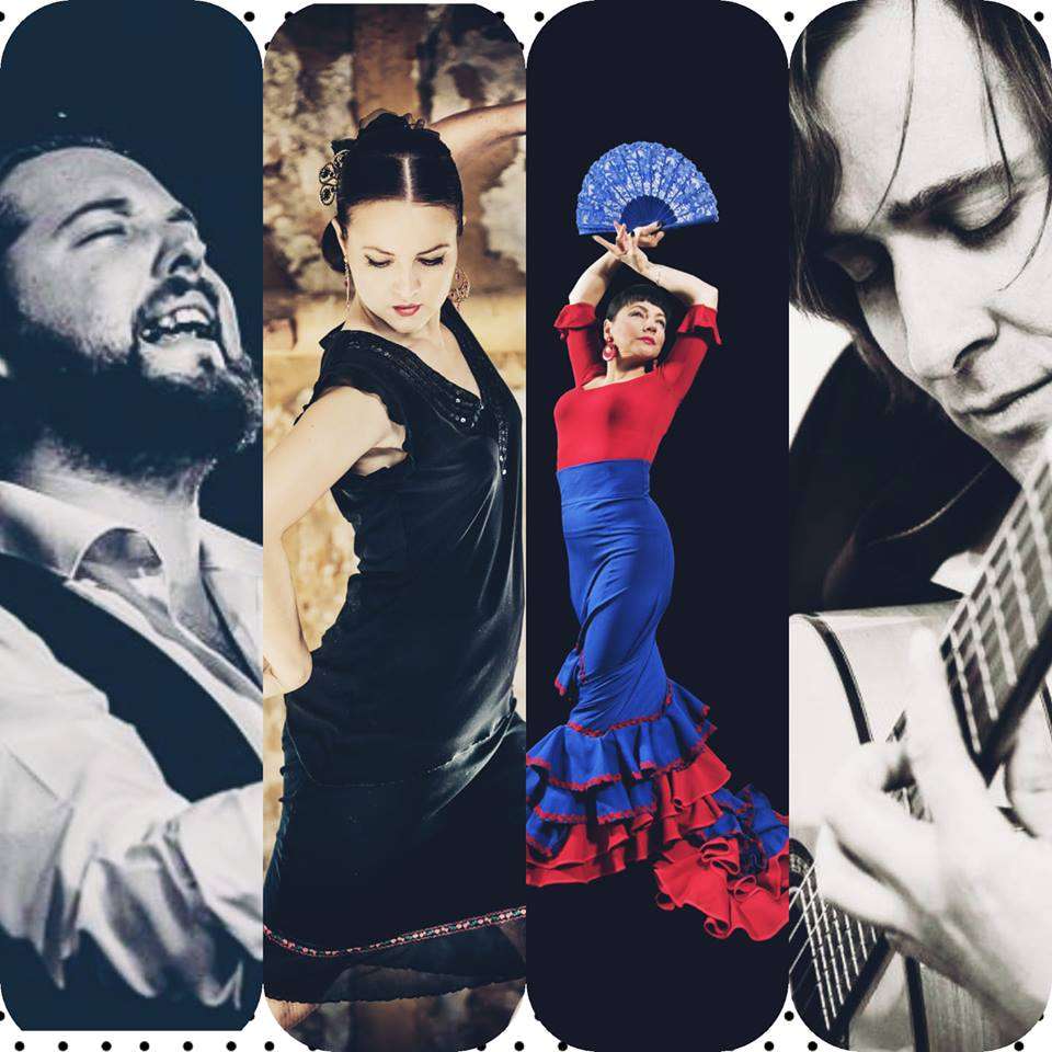 Gorące flamenco w Sowie - full image