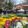 XI Wiosenne Targi Ogrodnicze „Pamiętajcie o ogrodach” w Olsztynie. Już 27-28 kwietnia!