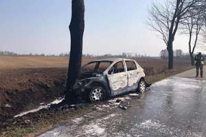 Po uderzeniu w drzewo samochód stanął w płomieniach. 18-latka trafiła do szpitala