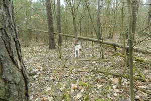 Powiesił psa na sznurku w lesie. Pomóżcie znaleźć sadystę