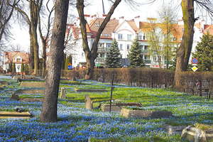 Wiosna do Ostródy przyszła w błękitach 