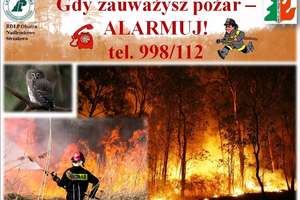Drugi i trzeci stopień zagrożenia pożarowego w naszych lasach!