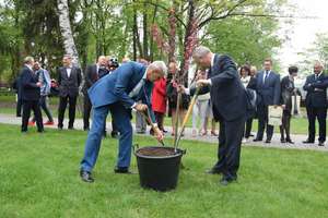 Święto Ostródy z gośćmi z Niemiec i 700 drzew na jubileusz miasta