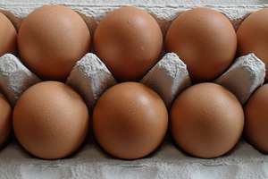 GIS ostrzega: Salmonella na powierzchni skorupek jaj
