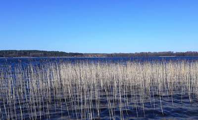 Rowerowa Obwodnica Olsztyna (26): Unieszewo - Guzowy Piec - Dorotowo - Kudypy - Plaża Miejska