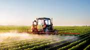 Pestycydy mogą być groźne dla polskich rolników