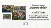 Warto inwestować w miejską zieleń i trzeba robić to dobrze