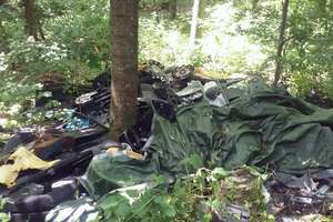Ktoś wyrzucił do lasu górę śmieci. Leśnicy proszą o pomoc w ujęciu sprawcy